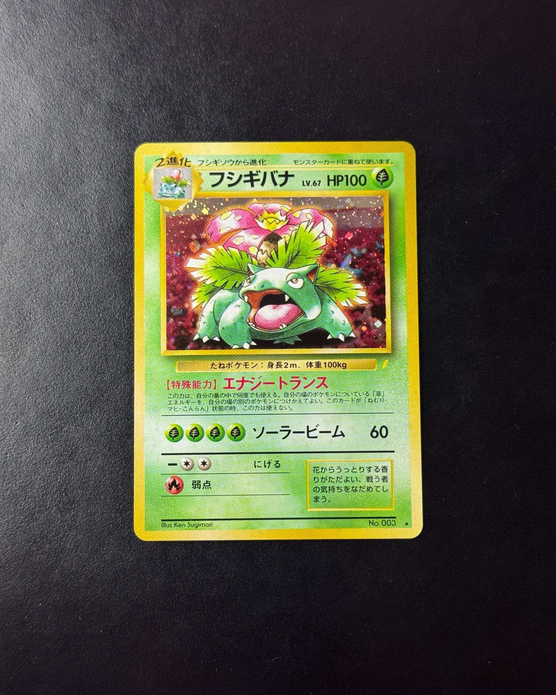 Venusaur CD Promo – CD PROMO – Non gradée