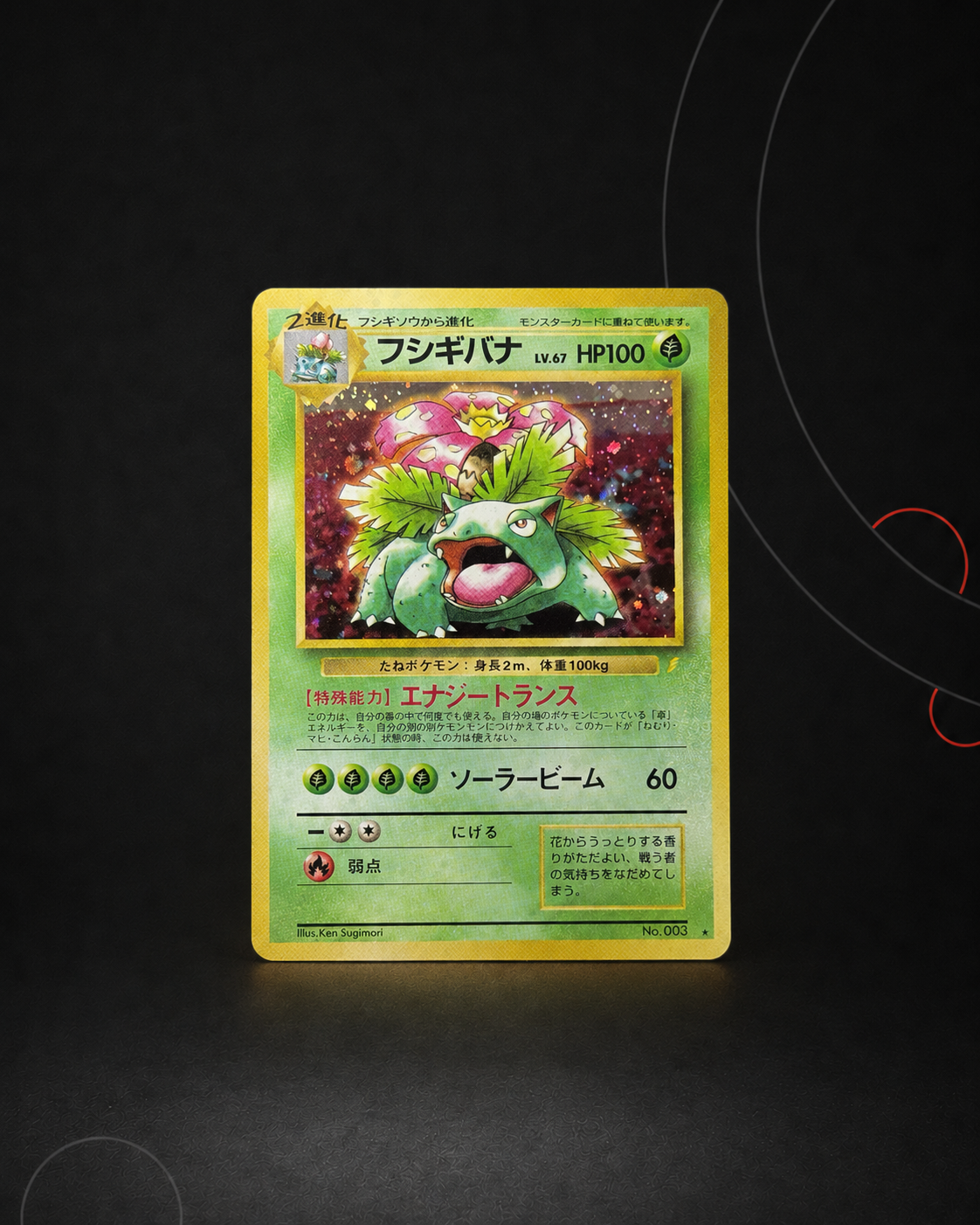 Venusaur CD Promo – CD PROMO – Non gradée