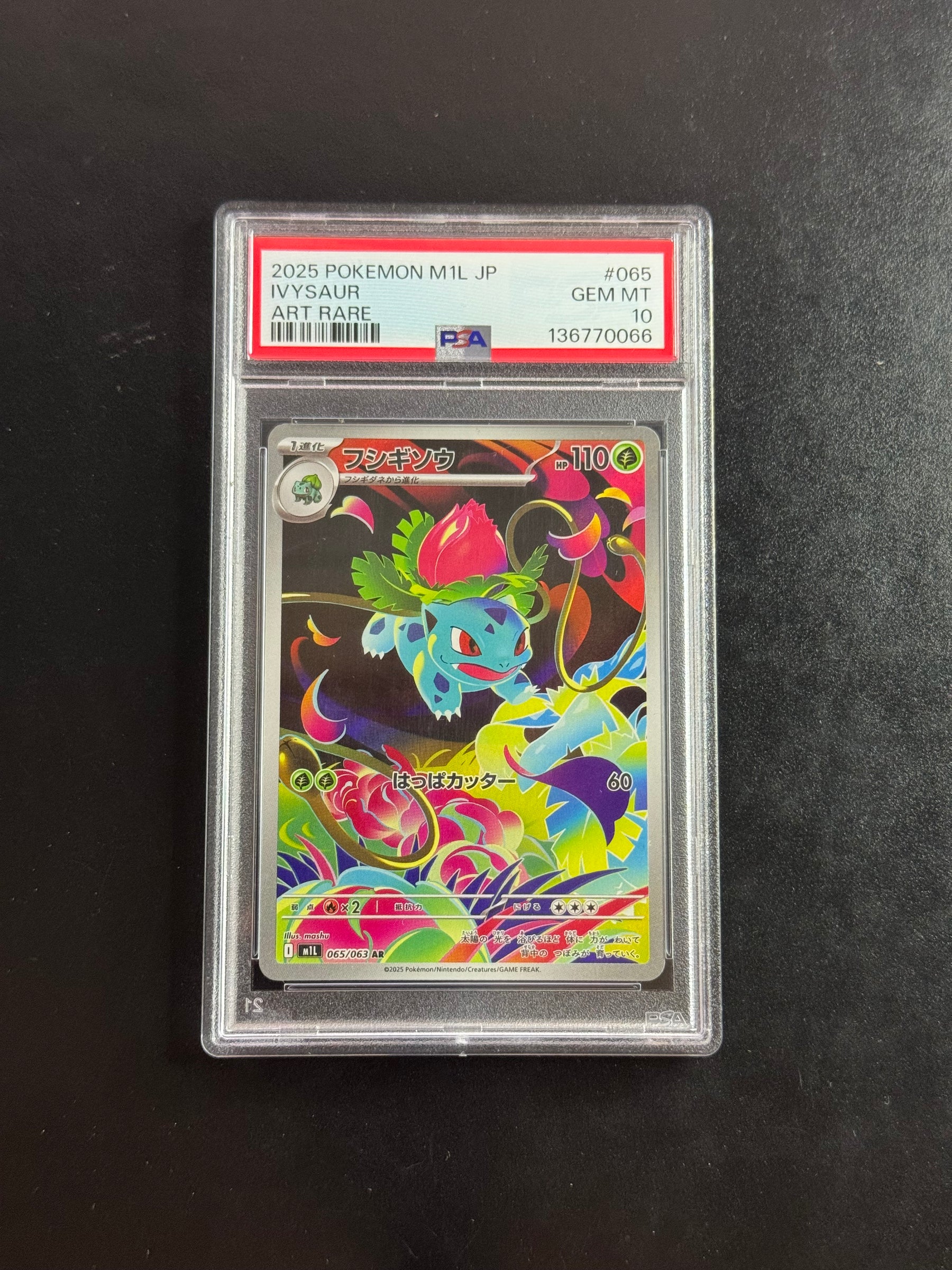 Recto de Ivysaur AR 065/063 (Herbizarre) – carte Pokémon japonaise PSA 10 GEM MINT